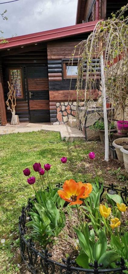 Bungalow 3 With 1 Room Sarajevo